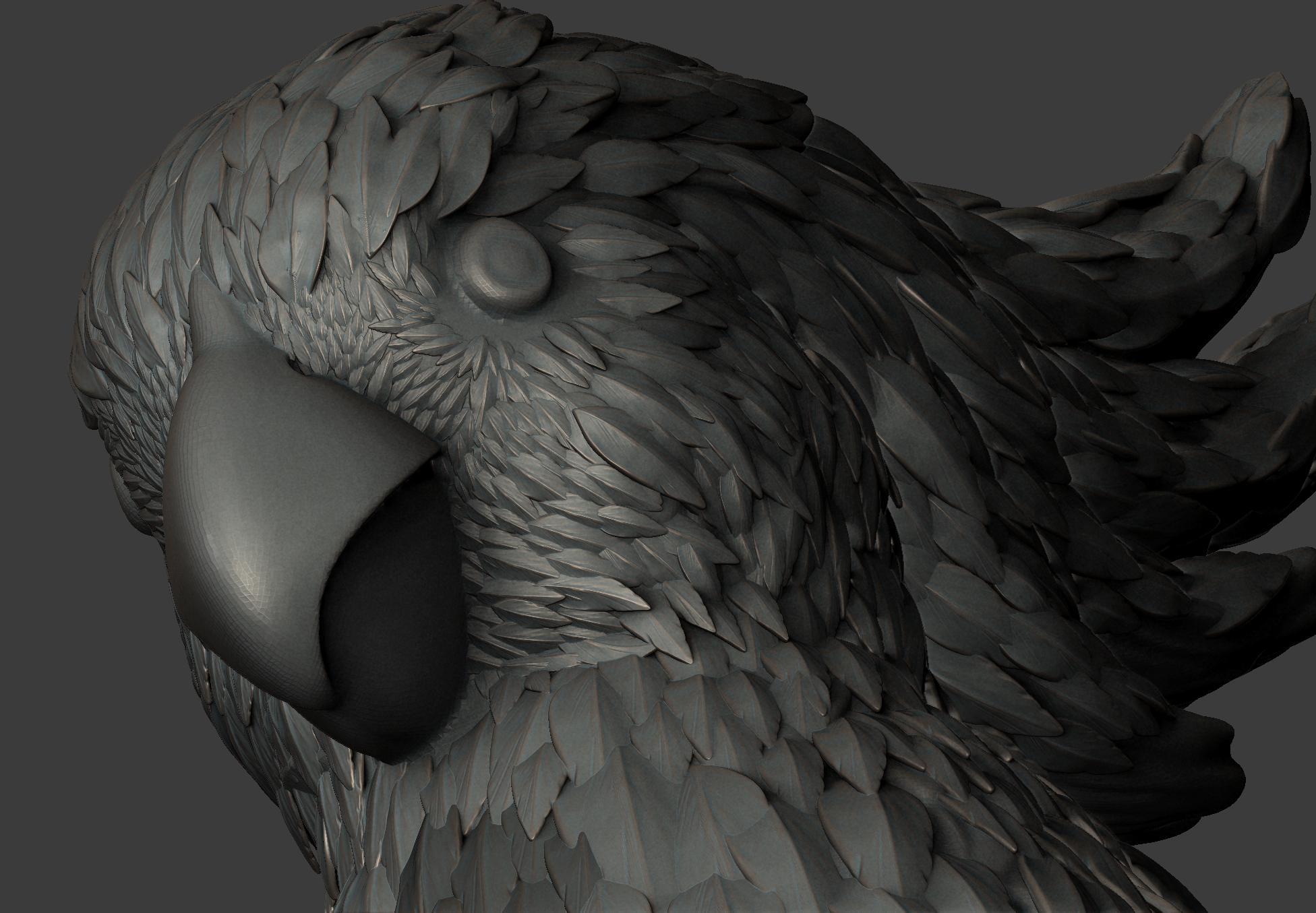 Estudo 3D — 05