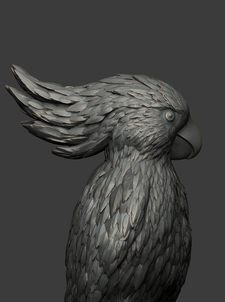 Estudo 3D — 07