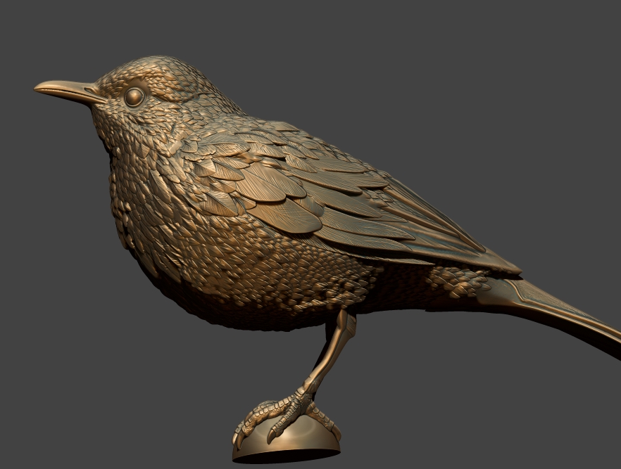 Sabiá — ave esculpida em 3D