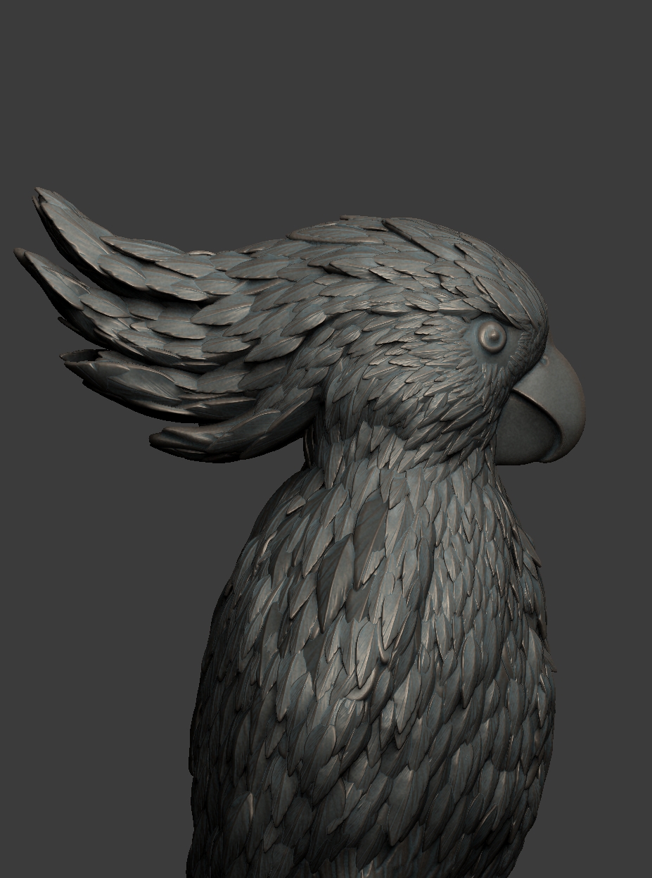 Estudo 3D — 08