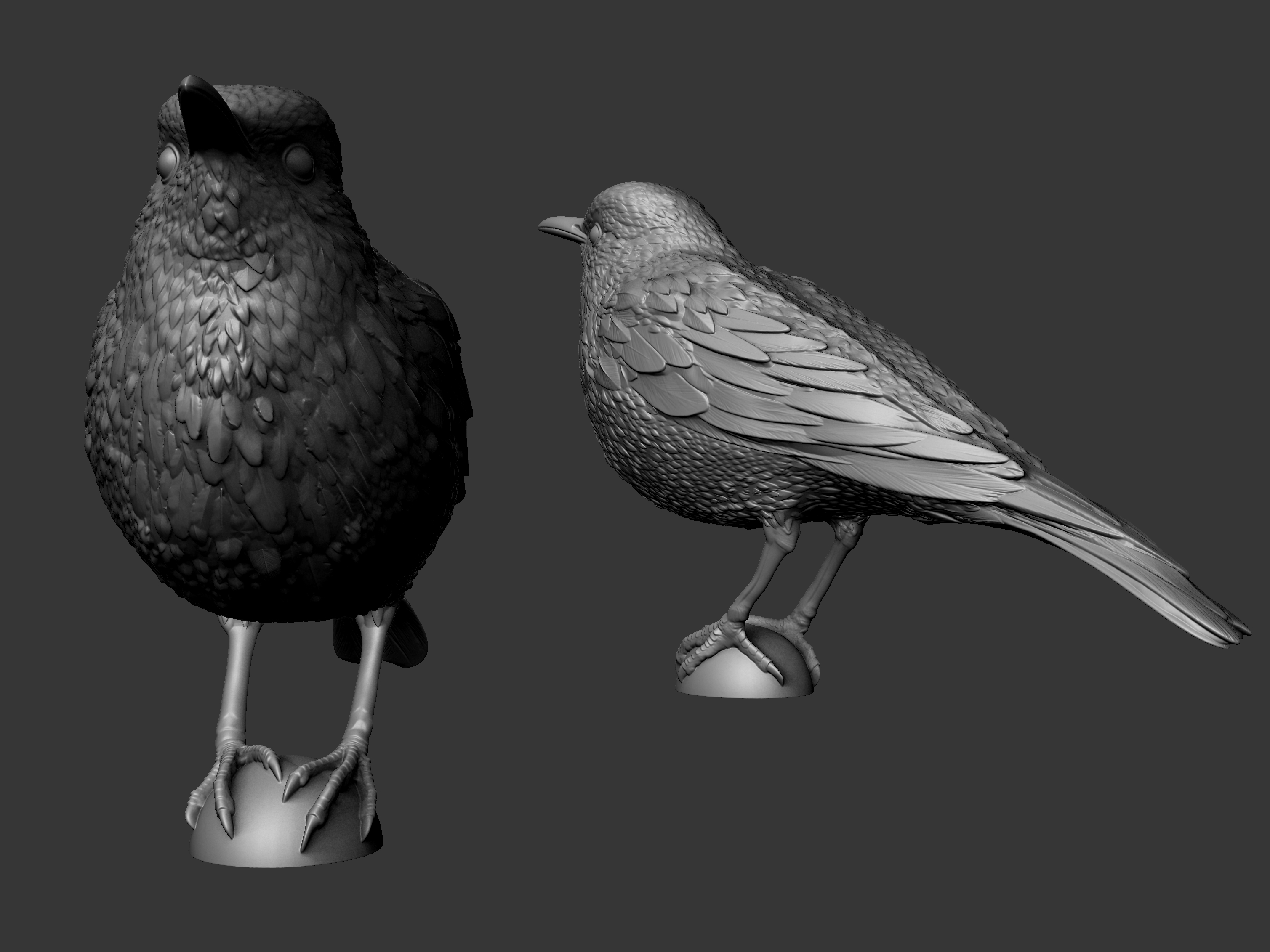 Sabiá — ave esculpida em 3D