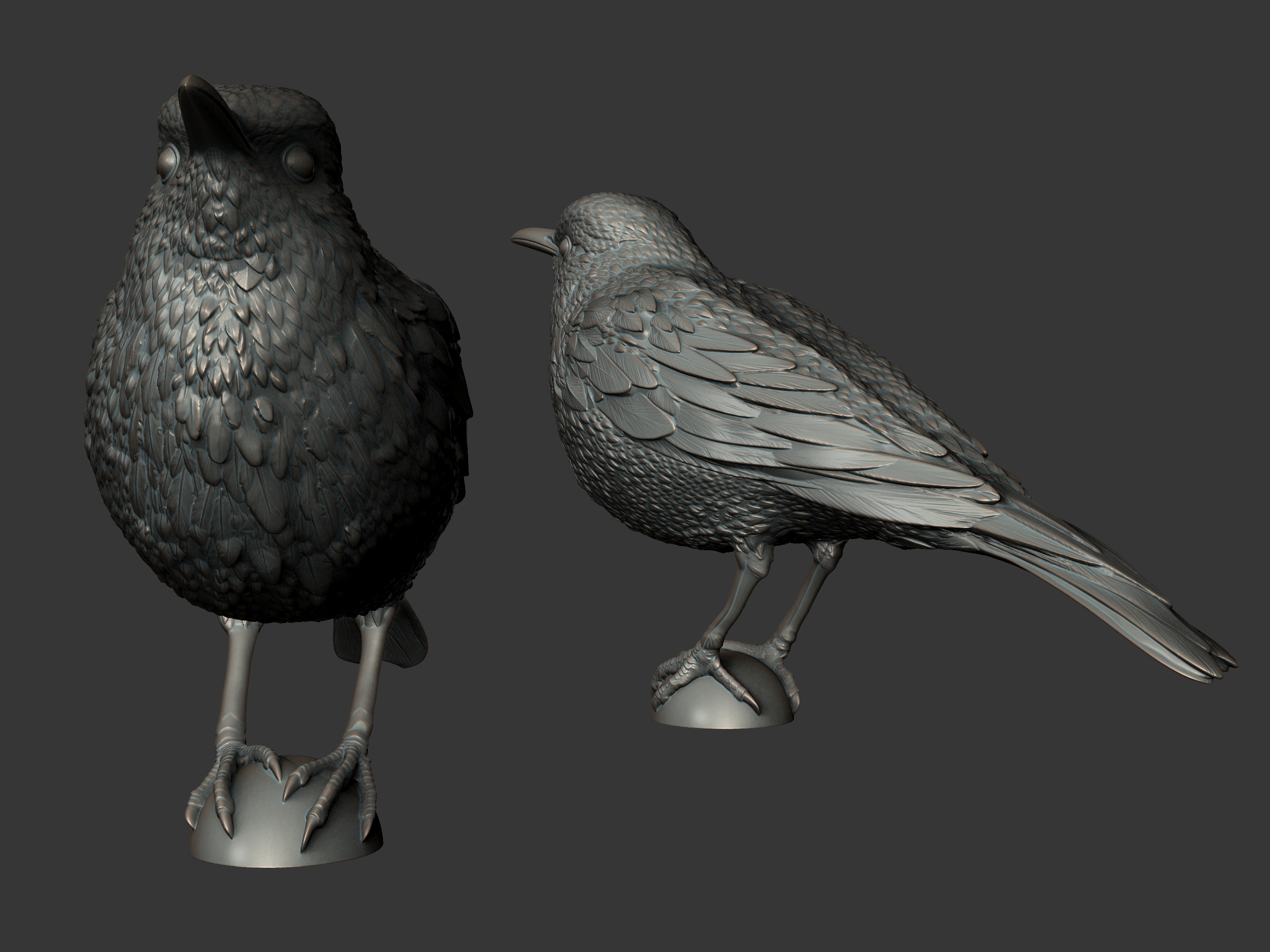 Sabiá — ave esculpida em 3D